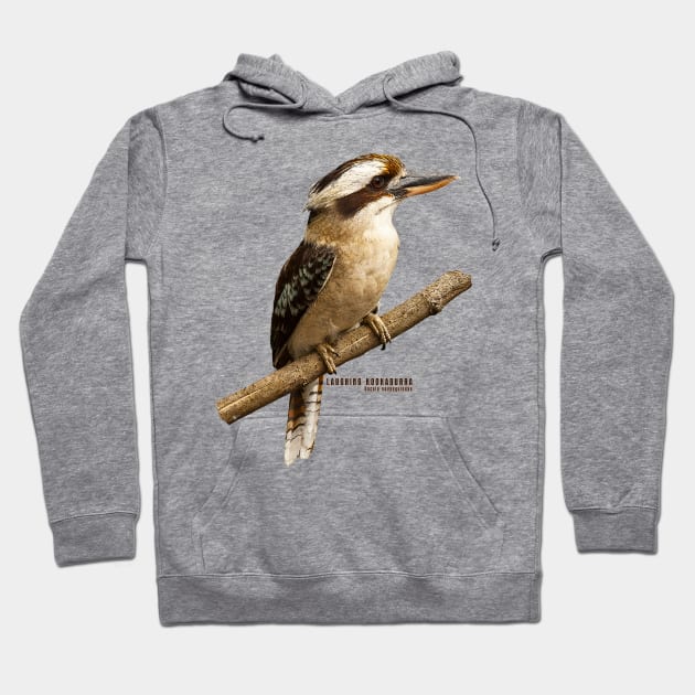 Laughing Kookaburra Hoodie by seadogprints